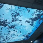 LED Ceiling Maxi Frame